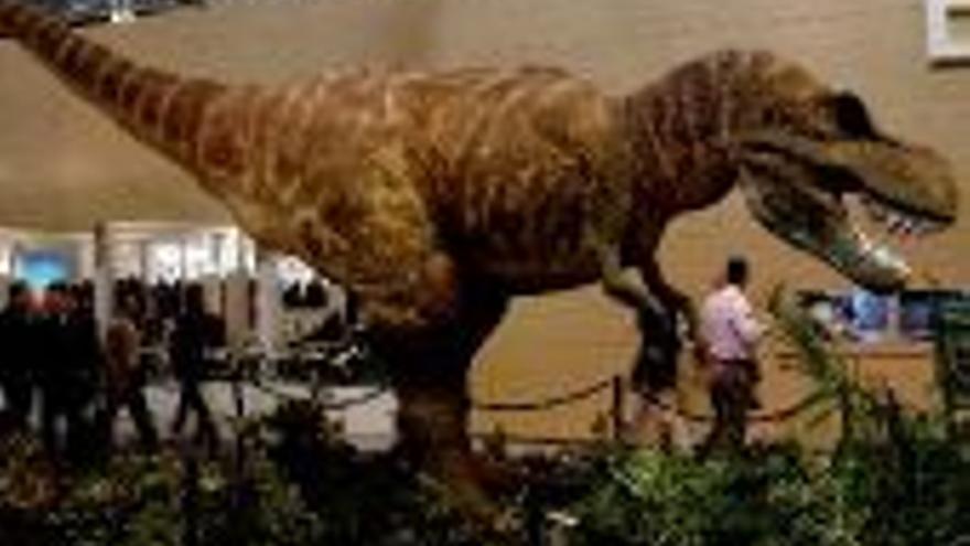 Dinópolis encuentra restos del dinosaurio más grande del mundo