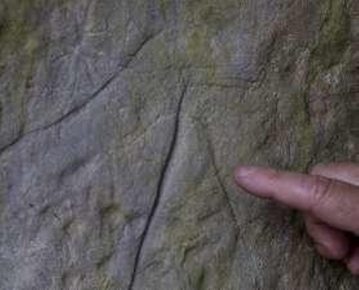 En la roca donde nació el arte en Asturias