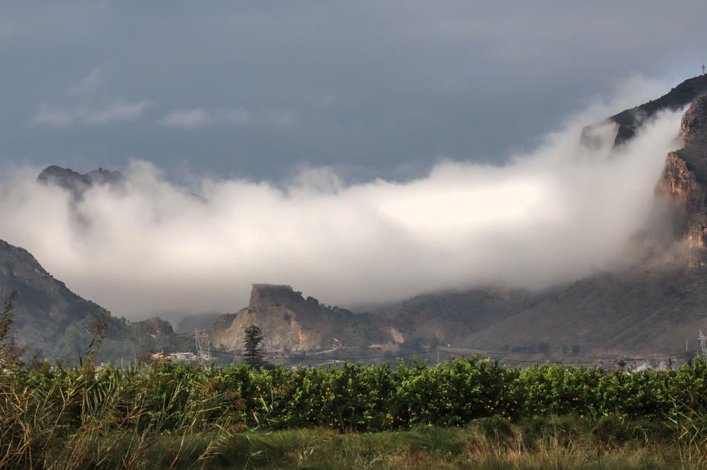 Las lluvias han dejado entre 15 y 30 litros por metro cuadrado en la Vega Baja