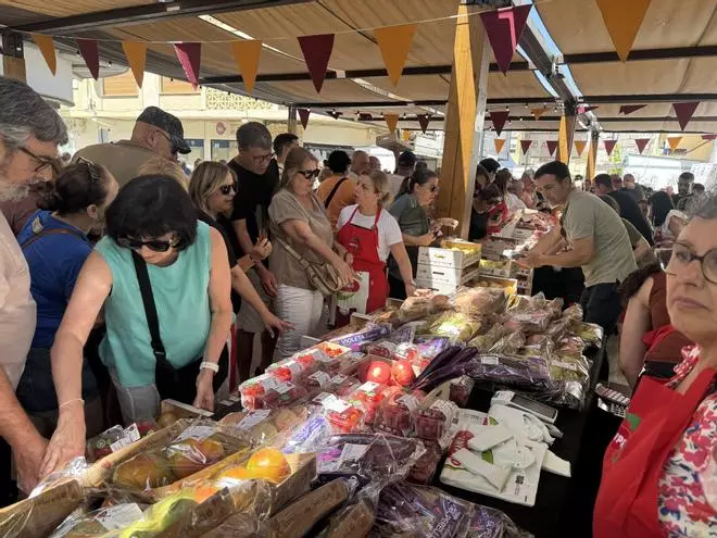 La berenjena china se europeíza en El Perelló