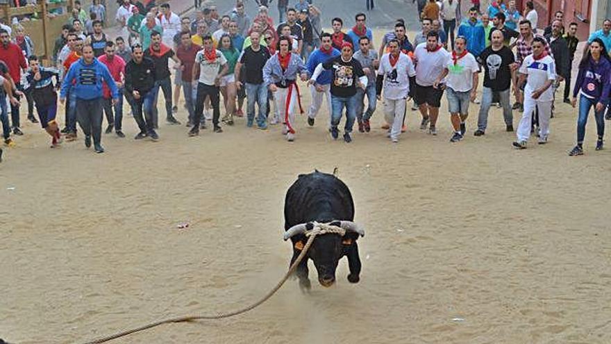 Uno de los tramos que el toro realizó con mayor fluidez a su salida.