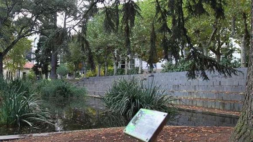 Vista del patrimonio arbóreo del campus.  // Iñaki Osorio