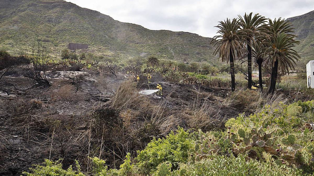 Miembros de la Brifor refrescan ayer el terreno donde se produjo el incendio en Bajamar.