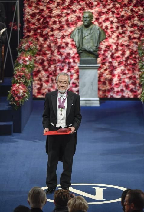 Ceremonia de entrega de los Premios Nobel 2016