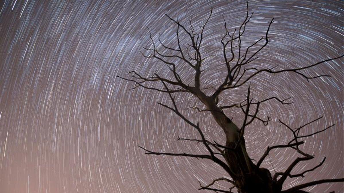 Lluvia de estrellas de Leónidas en un año anterior.