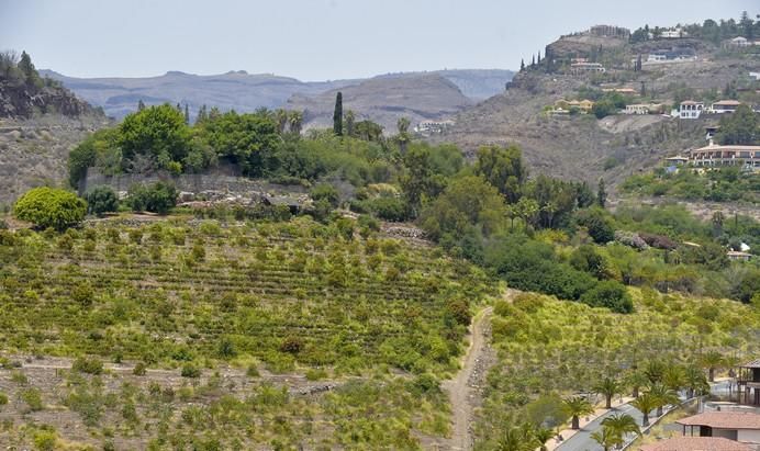 Justus Frankz, en su finca de Monte León