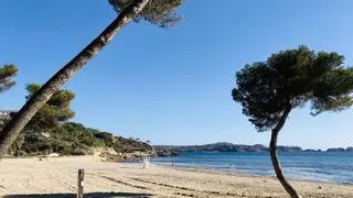 "¿Qué es el mallorquín?": la polémica opinión de unos jóvenes sobre Mallorca
