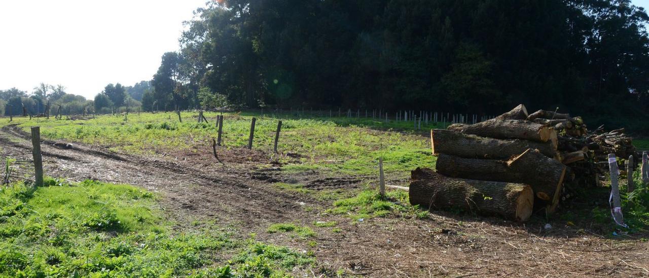 Terrrenos afectados por la modificación puntual de A Rúa.   | // G.NÚÑEZ