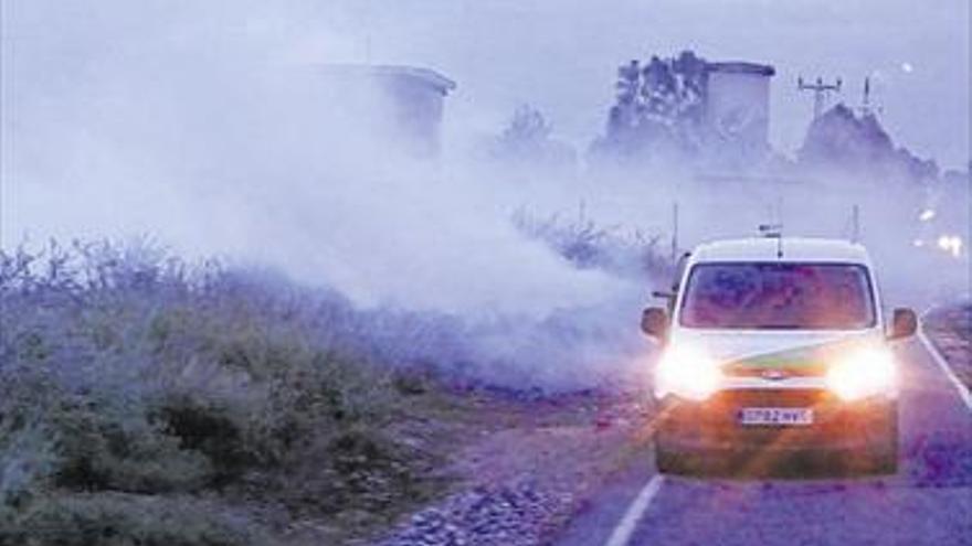 Benicàssim gastará más este año para frenar los mosquitos