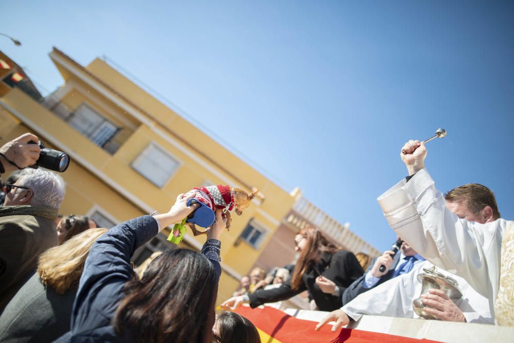 Cartagena celebra San Antón