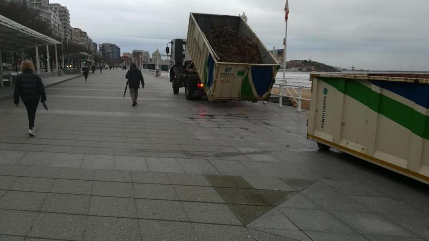 Operarios municipales limpian la playa de San Lorenzo tras el temporal