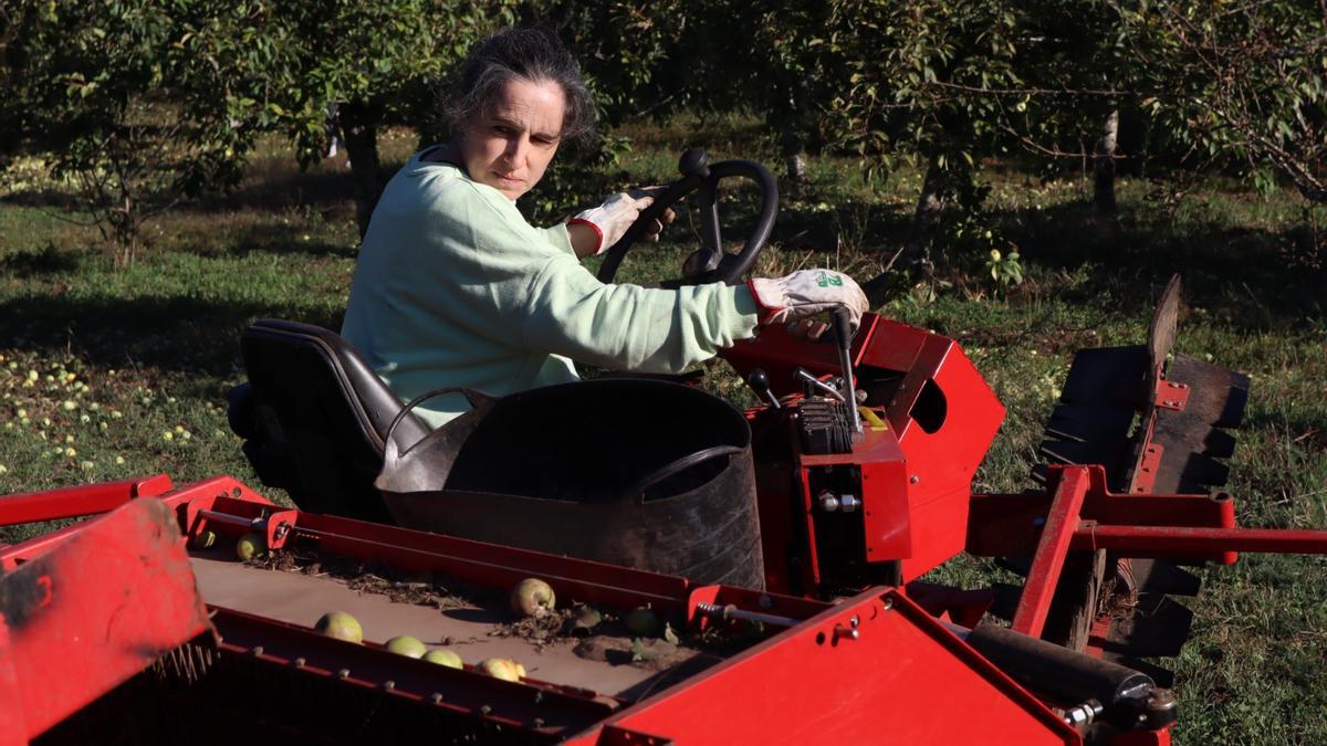La labor de las mujeres es esencial en el desarrollo sostenible de los territorios rurales.