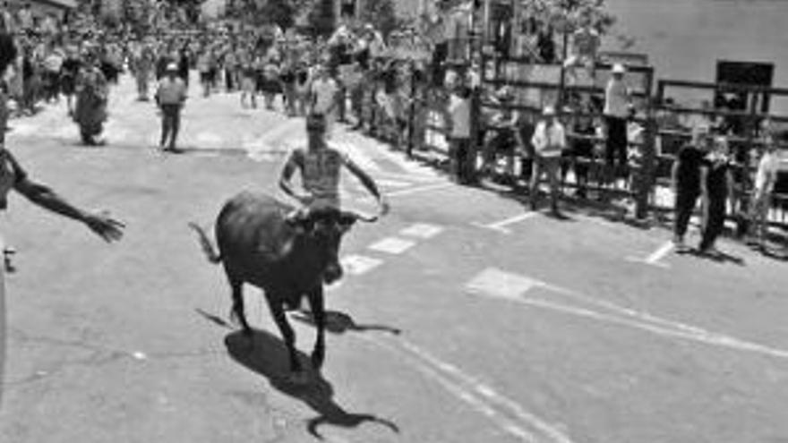 Coria abre San Juan con los capeones y la vaca de la Rana