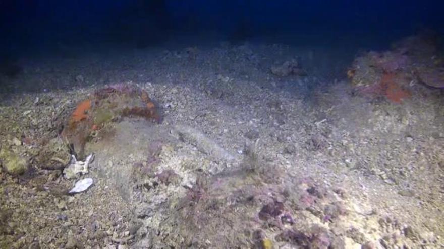 Descobreixen a les Formigues les restes del vaixell romà més ben conservat de Catalunya