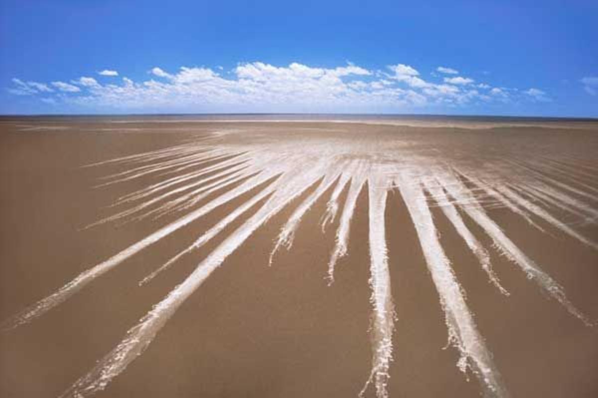 Rayos de sal sobre el barro en Makgadikgadi Pans.
