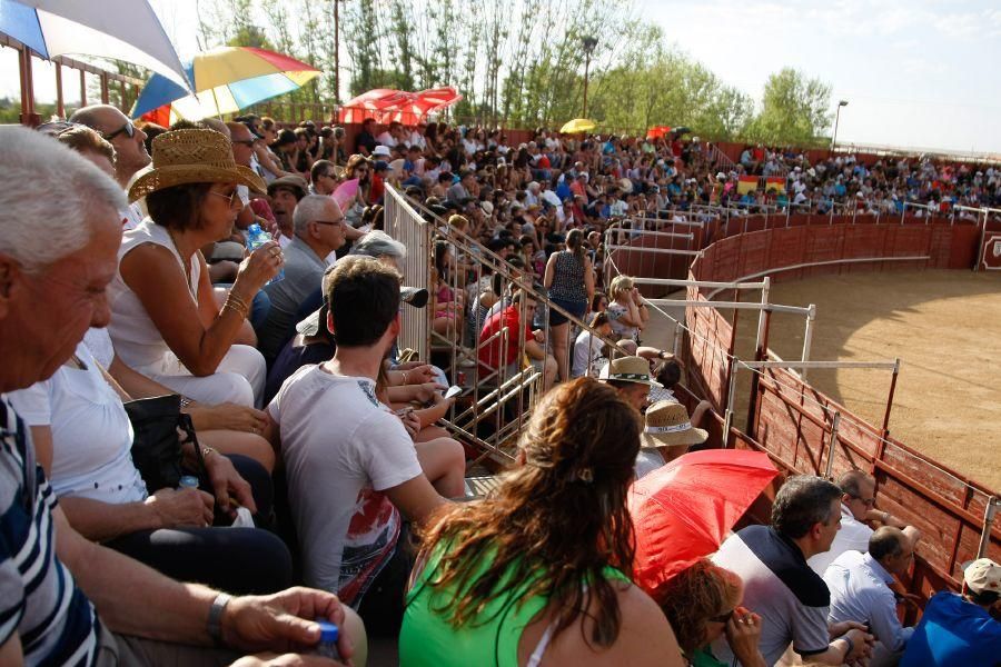 Fiestas en Zamora: Recortes en Villalpando