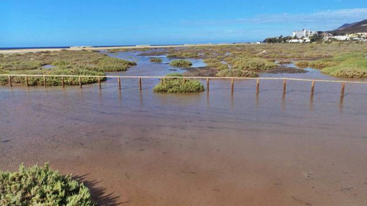 Tourism Revitalizes the Jandía Salt Marsh, a Natural Gem of Fuerteventura Tourism Revitalizes the Jandía Salt Marsh, a Natural Gem of Fuerteventura