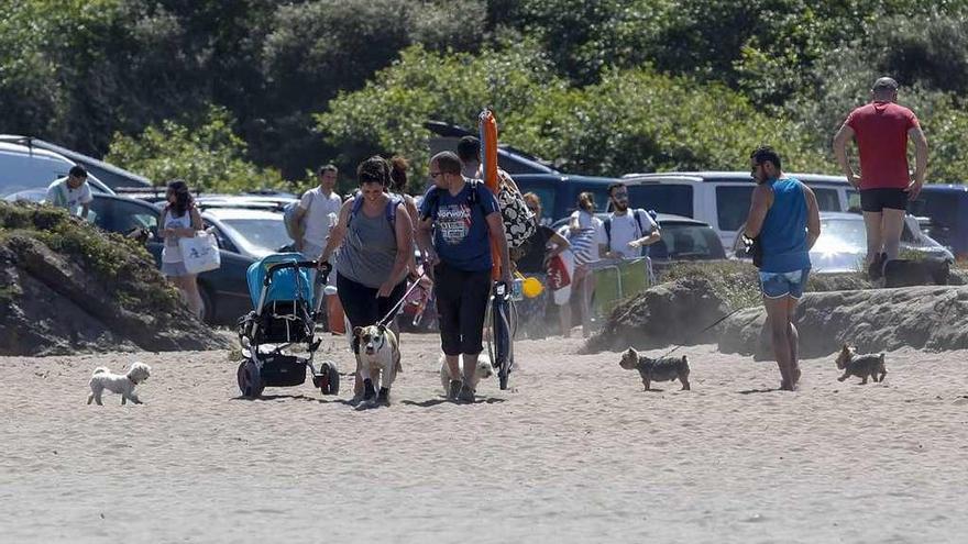 Usuarios de la playa de Bayas con sus perros, el pasado agosto.