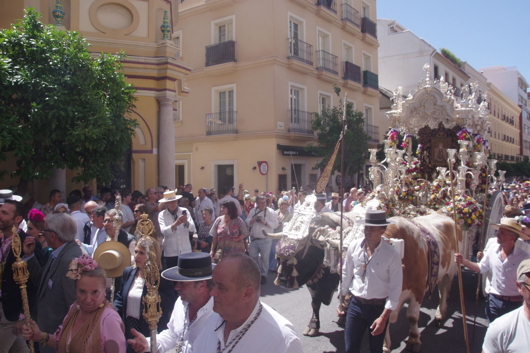 Málaga ya está de Camino al Rocío