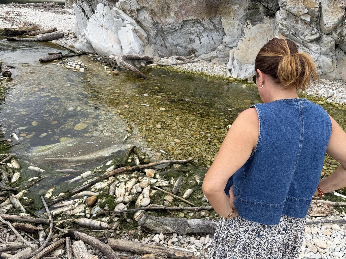 Aparecen cientos de peces muertos en una playa de Llanes