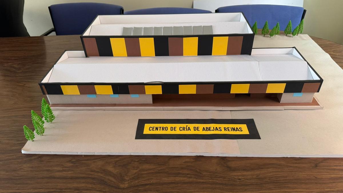 Maqueta del futuro centro.