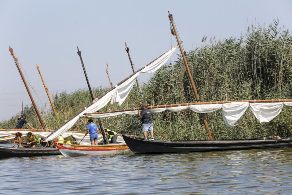 Regata-exhibición de vela latina en l'Albufera