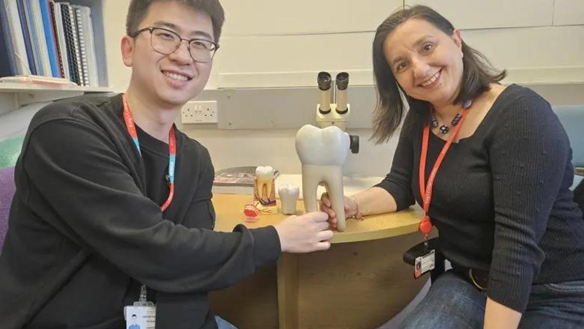 Xuechen Zhang y Dra. Ana Angelova Volponi.