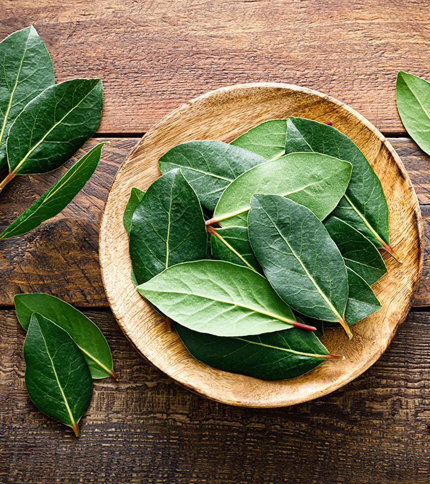 Poner una hojas de laurel en el baño: la solución que cada vez hace más gente (y con razón)