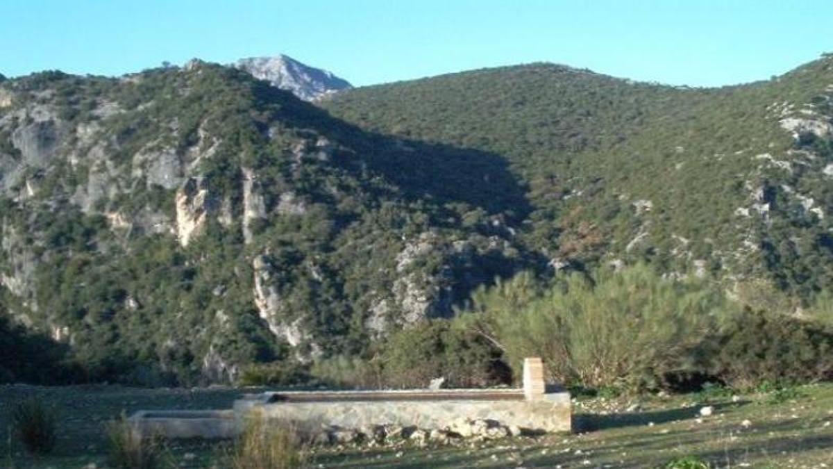 Entorno de la Garganta Verde en Zahara de la Sierra