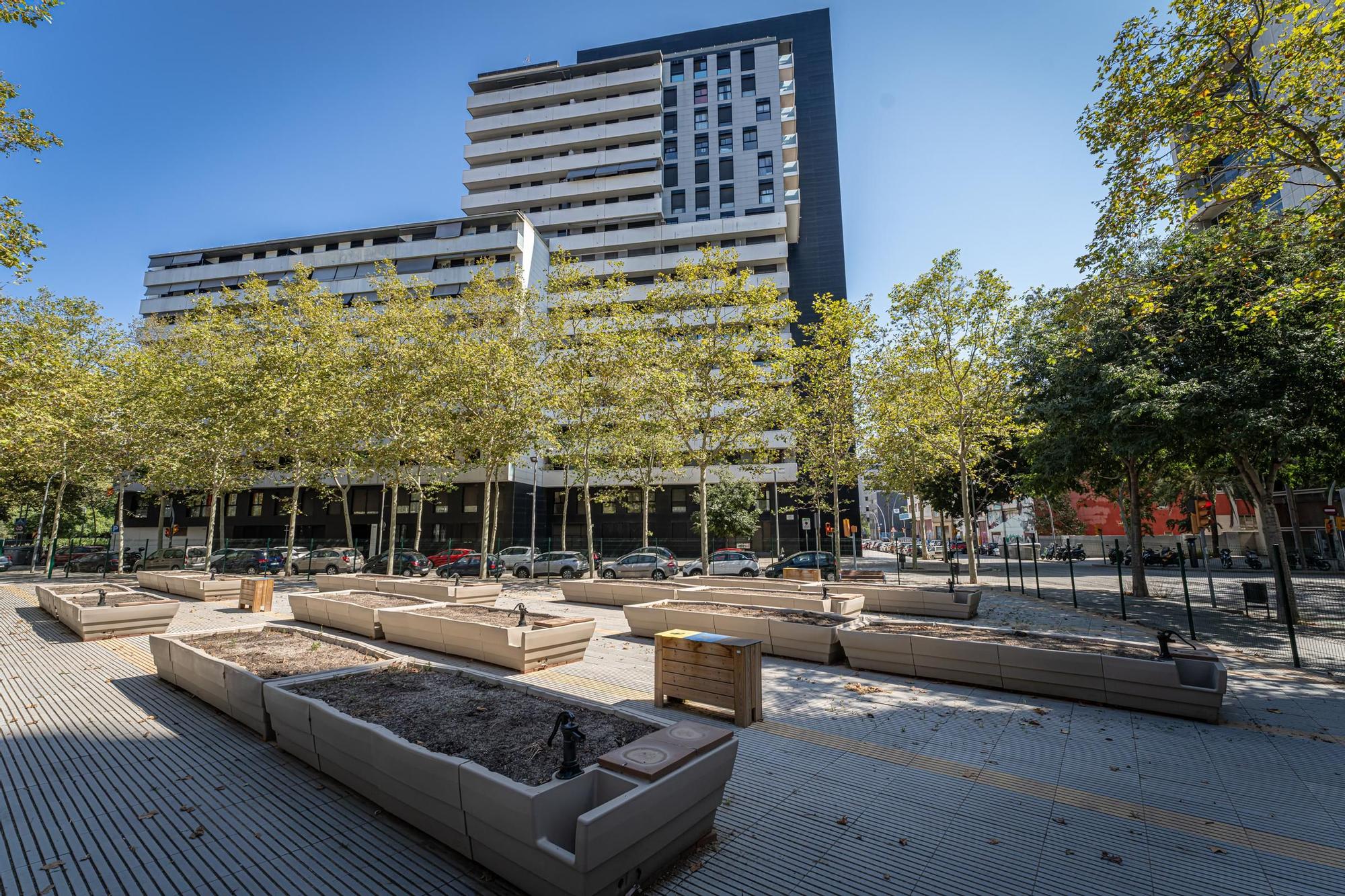 Las jardineras vacías en el huerto urbano instalado hace dos años en Diagonal Mar, en Barcelona.