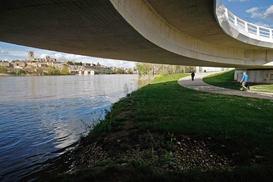 Crecida del río Duero a su paso por Zamora