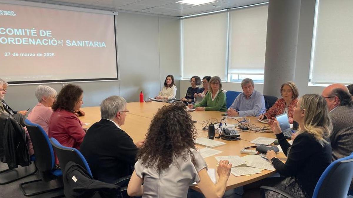 Reunión del comité de ordenación de mapa sanitario de Aragón del 27 de marzo.