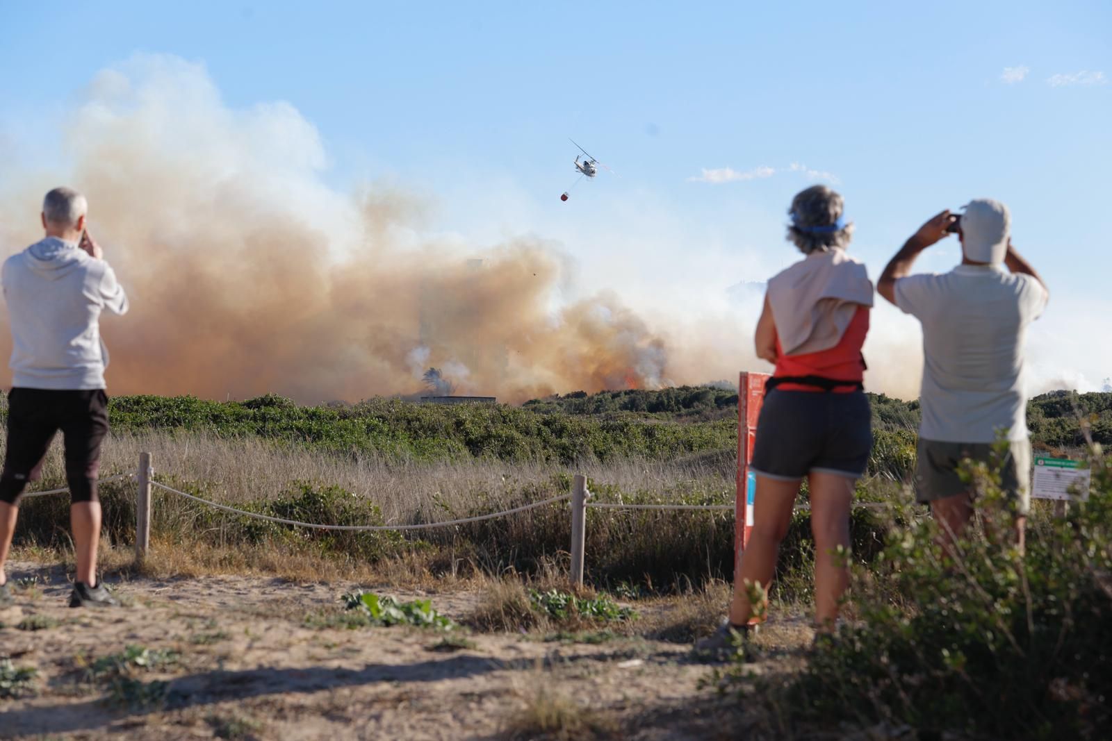 Declarado un incendio en el Saler