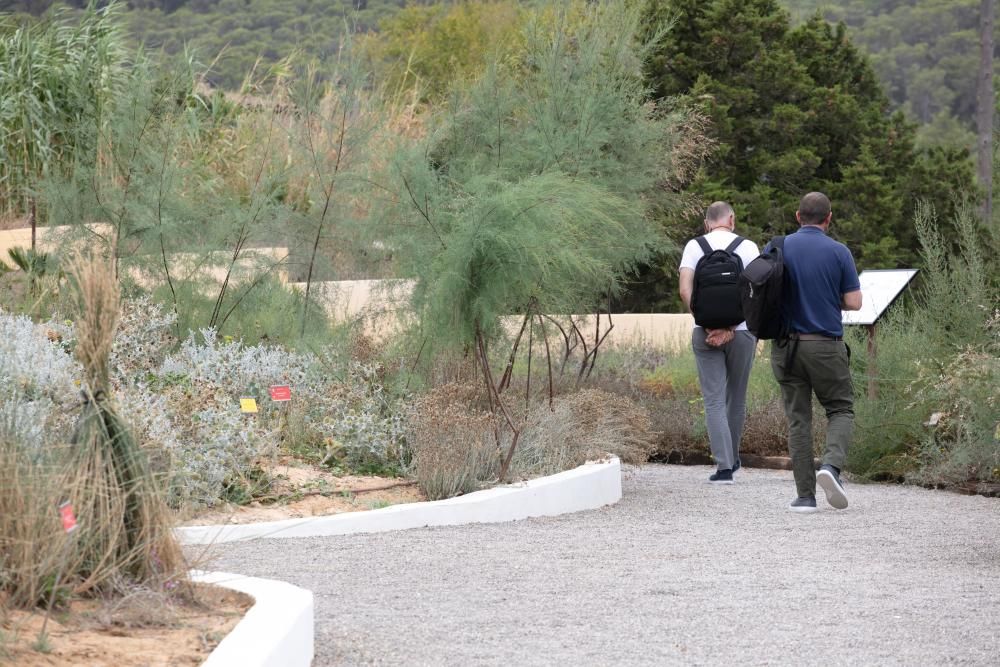 Abre sus puertas en Sant Rafel el primer jardín botánico y biotecnológico de las Pitiusas con vegetación de ambas islas