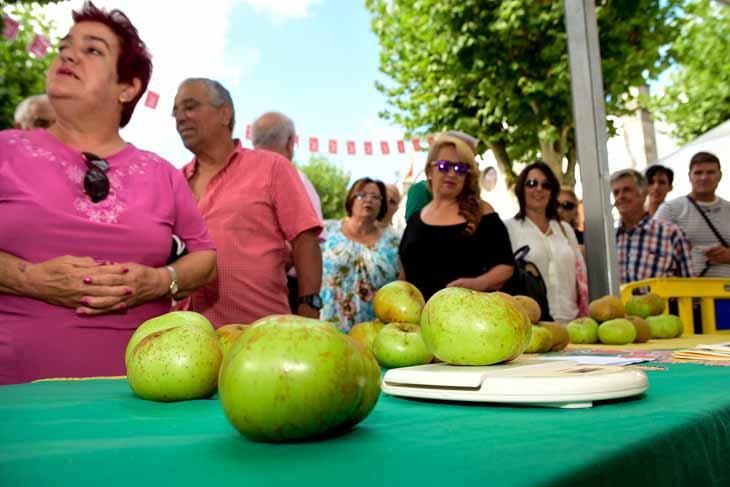 Fiesta de la manzana de Valleseco