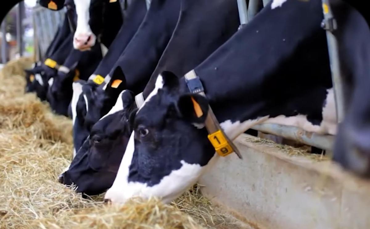 Foto cedida por CTIC Centro Tecnológico, coordinador del proyecto europeo GUARDIANS