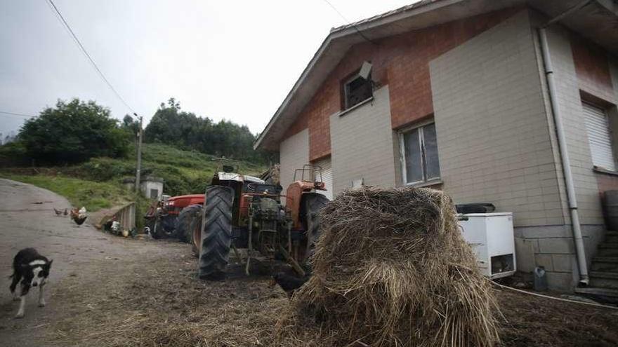 La vivienda de la granja en la que aparecieron unos 180 animales en malas condiciones.