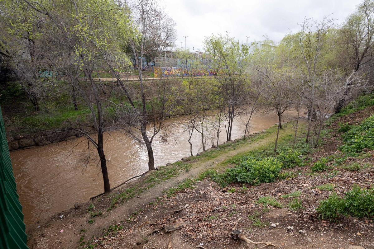 En imágenes I El río Huerva, a su paso por Zaragoza tras las últimas lluvias