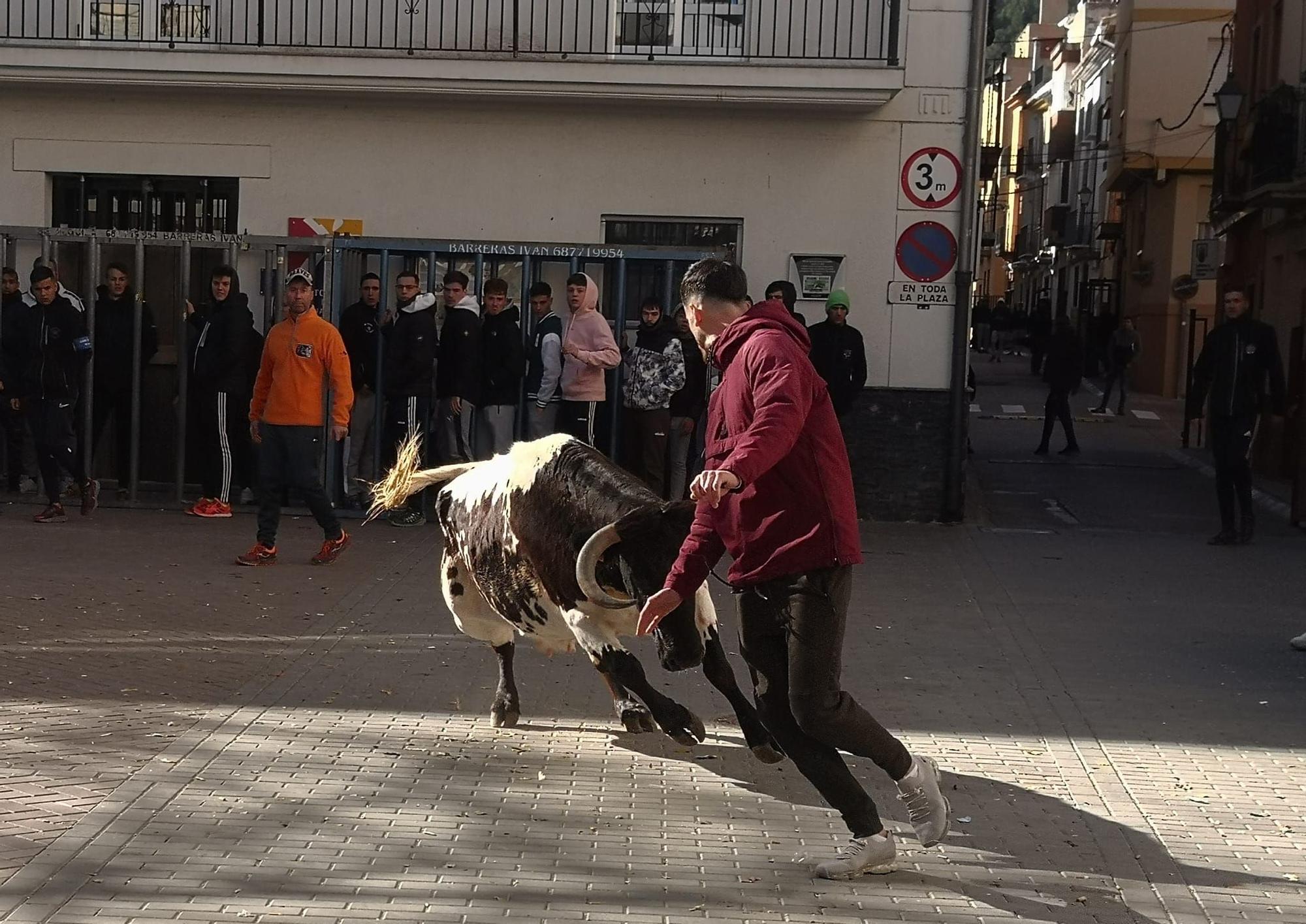 Fin de semana taurina en Navajas por San Antón