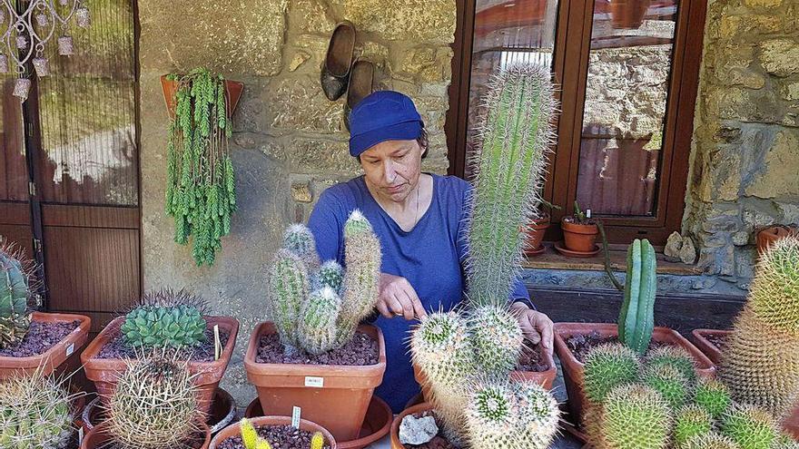 María Pérez, con sus cactus en La Madrera.