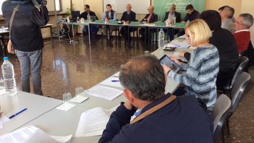 Reunión de trabajo entre la Junta de Andalucía y el sector pesquero, ayer en Málaga.