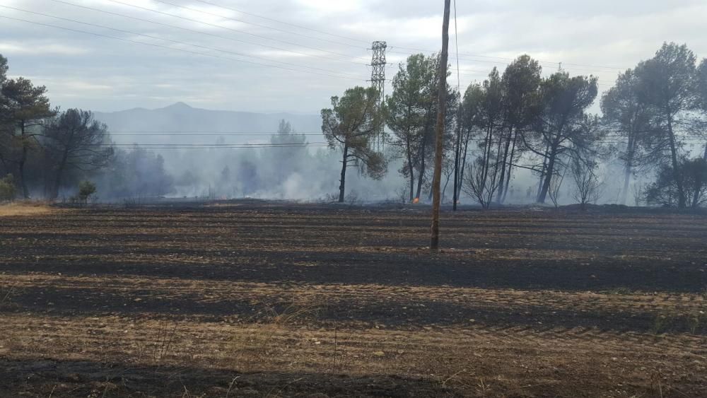 Segon incendi forestal a Artés