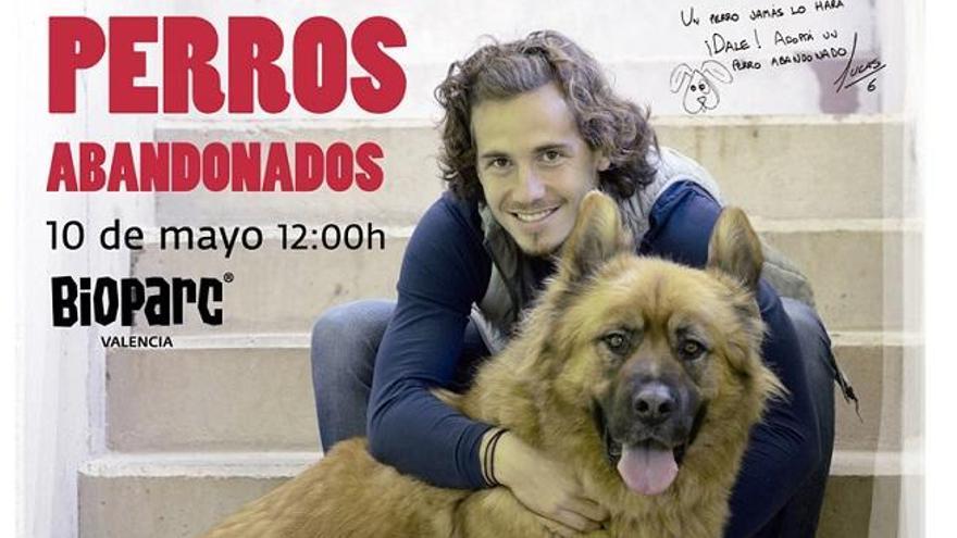 Este domingo se celebra el 6ª Desfile de perros abandonados de AUPA en Bioparc