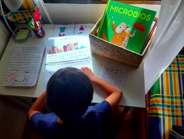 Las clases particulares se dan en todas las etapas educativas, desde infantil hasta bachillerato