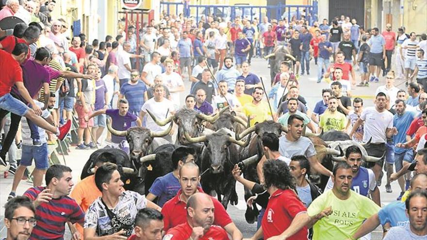 Les Alqueries abre fiestas con un vibrante encierro de cerriles