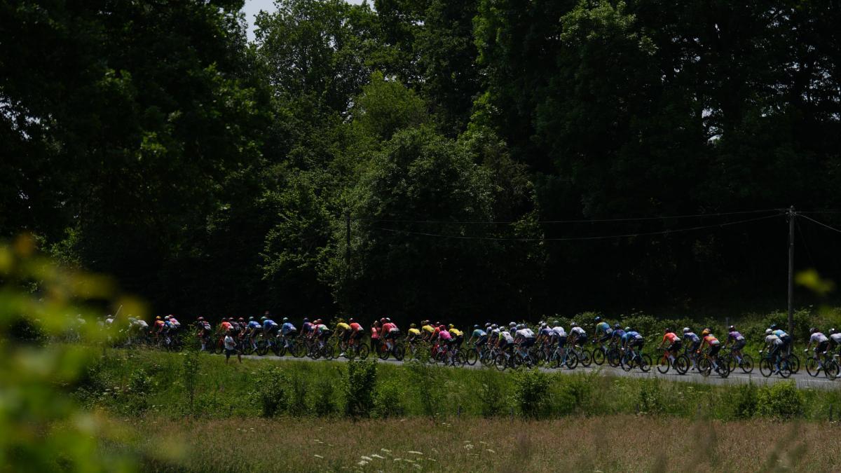 Etapa 3 - Crit谷rium du Dauphin谷 2025: hora, perfil, recorrido y d車nde ver por TV y online