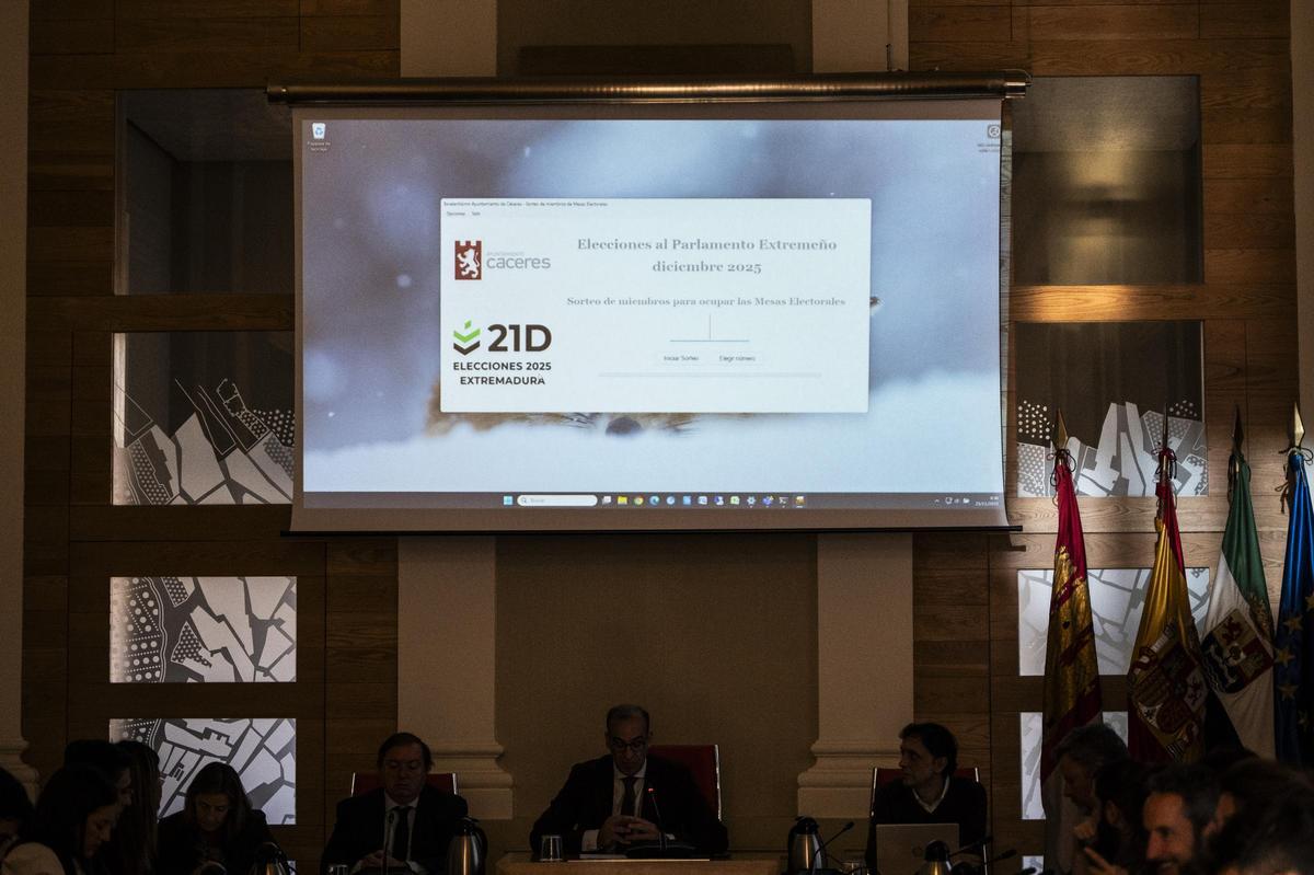 Programa desarrollado por el Ayuntamiento de Cáceres para elegir a los representantes en las mesas en los próximos comicios.