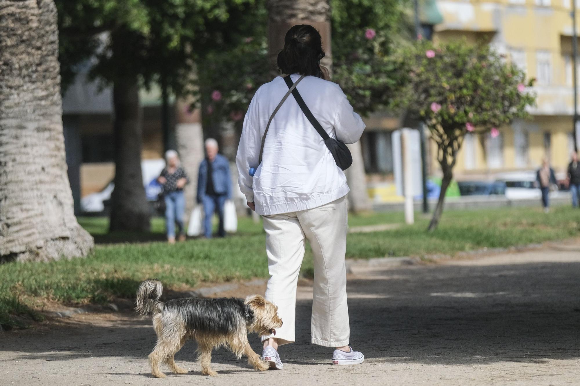 Los 'guardianes' del Parque Romano