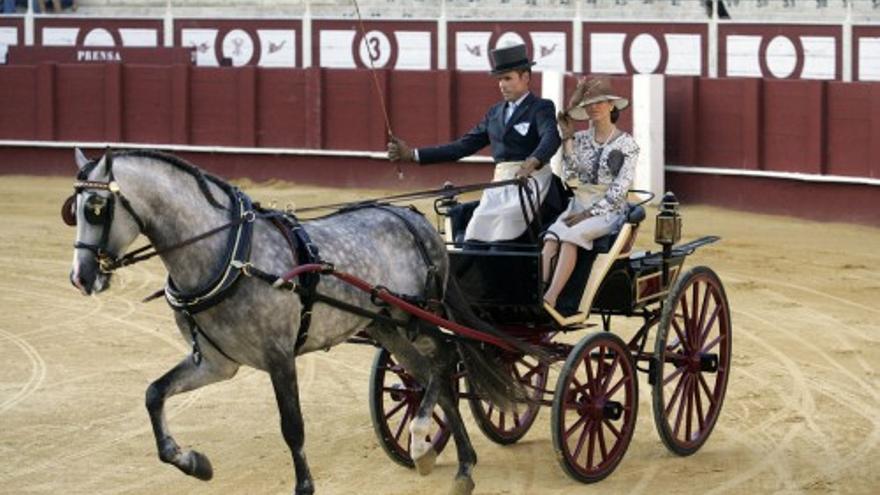 El Concurso de Enganches de Málaga celebra sus 40 años