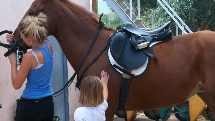 Crecer con animales propicia cualidades altuistas y solidarias en los más pequeños.